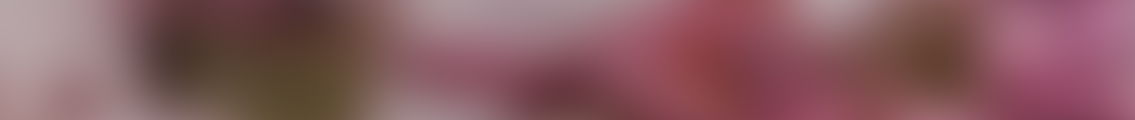 自分たちらしいお見送りとは？多様化する葬儀スタイルと都城の風習